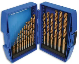 Set burgija 19 kom