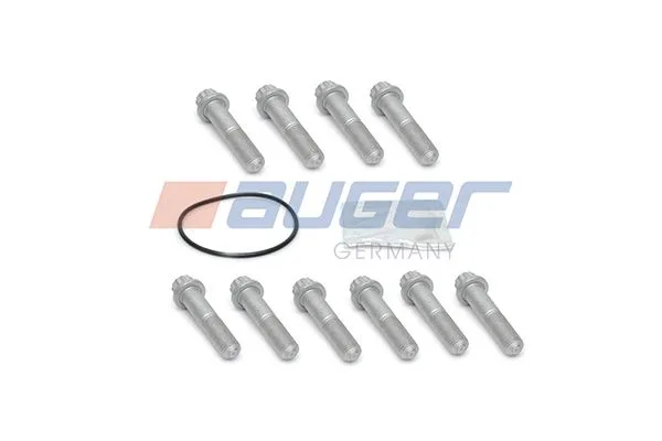 Brake disc screws set (M14x1,5x65) fits: SAF B, BASIC, S, Z