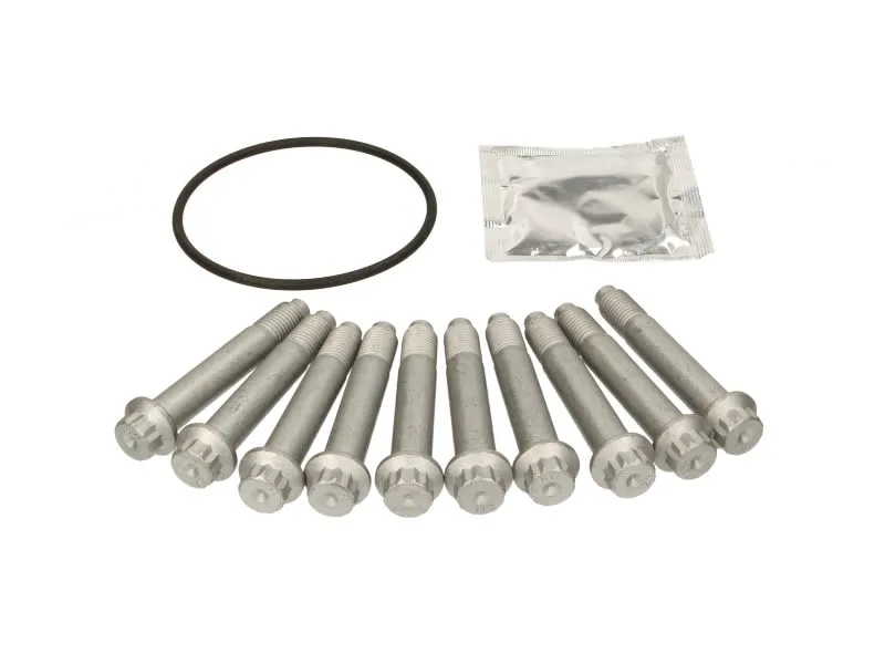 Brake disc screws set (M12x1,5x75) fits: SAF B, SK, SKRB, SKRLB