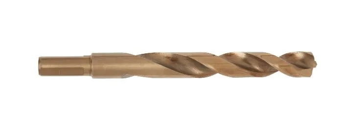 Burgija 12 mm